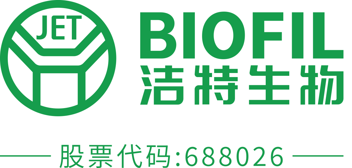 洁特